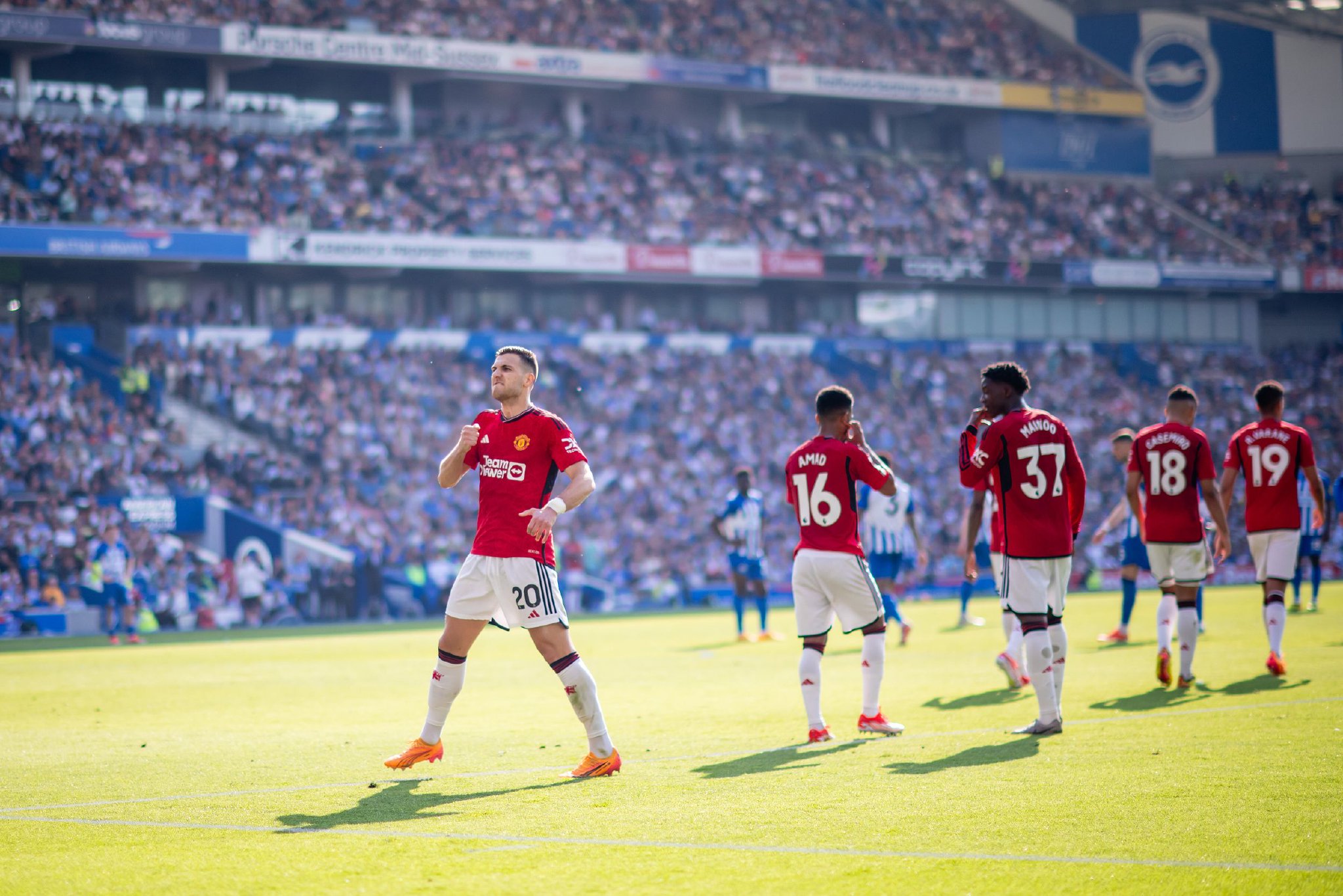 再次证明了 再次证明了