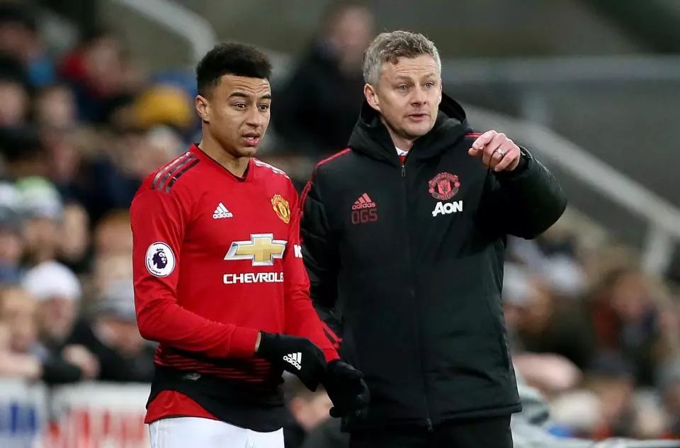 他们在德甲 他们在德甲